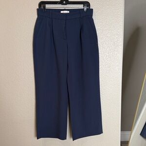 Abercrombie and fitch low waisted petite curve love Sloan pants 28S